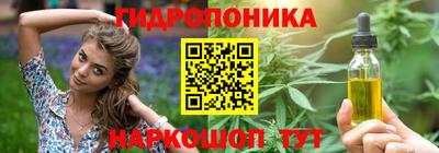 соль ск Гатчина