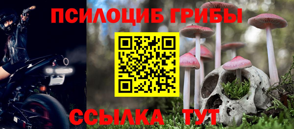 Псилоцибиновые грибы мицелий Мыски