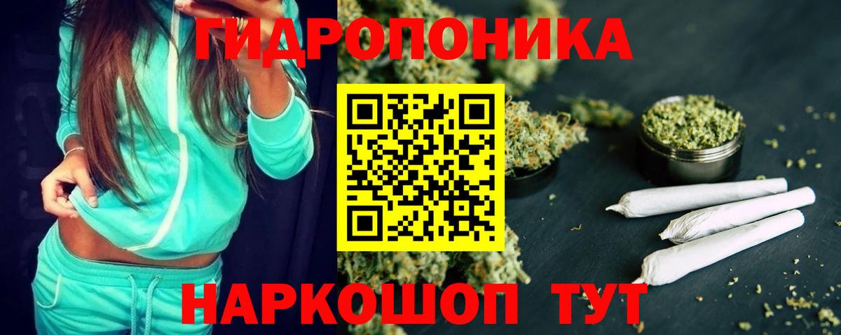 Конопля планчик Мыски